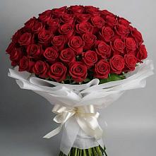 Букет 101 Красная роза Блэк Мэджик в Расшеватской