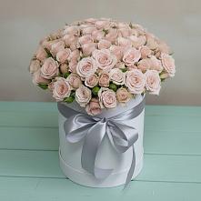 Цветочная композиция из Розы в шляпной коробке #REPLACE_PRED# Расшеватской