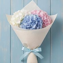 Букет цветов из:  Гортензия в Расшеватской