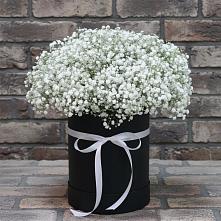 Цветочная композиция из Гипсофила в шляпной коробке в Расшеватской