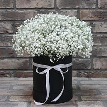 Цветочная композиция из Гипсофила в шляпной коробке в Расшеватской