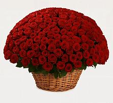 Премиум букет из: Розы в Расшеватской