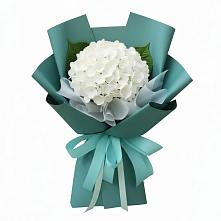 Букет цветов из:  Гортензия в Расшеватской